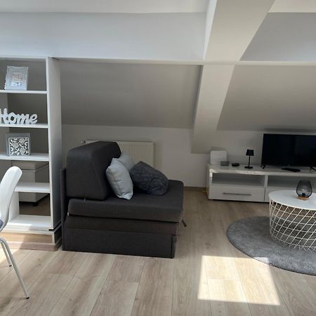Apartment J.J Pozarevac Bagian luar foto